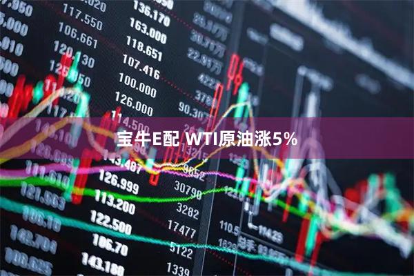 宝牛E配 WTI原油涨5%