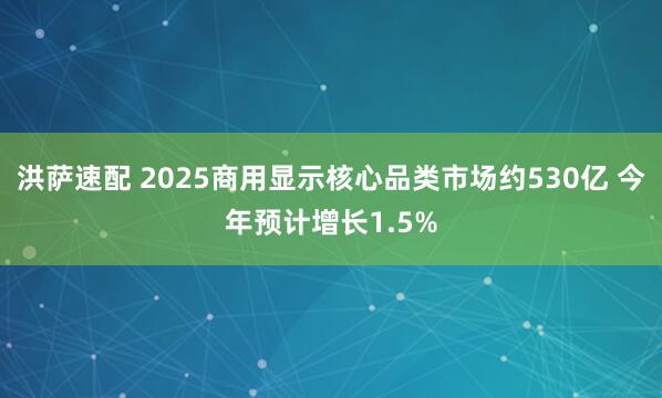 洪萨速配 2025商用显示核心品类市场约530亿 今年预计增长1.5%