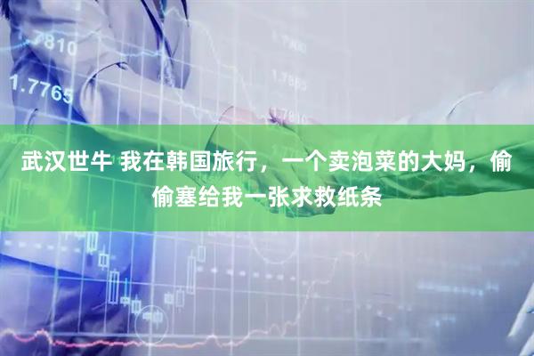 武汉世牛 我在韩国旅行，一个卖泡菜的大妈，偷偷塞给我一张求救纸条