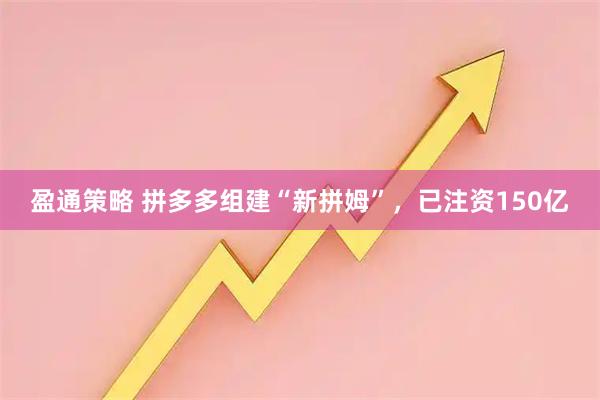 盈通策略 拼多多组建“新拼姆”，已注资150亿
