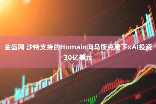金盛网 沙特支持的Humain向马斯克麾下xAI投资30亿美元