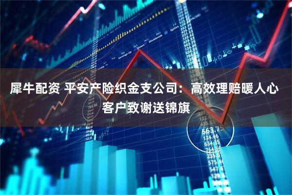犀牛配资 平安产险织金支公司：高效理赔暖人心 客户致谢送锦旗