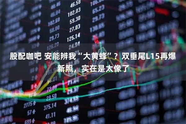 股配咖吧 安能辨我“大黄蜂”？双垂尾L15再爆新照，实在是太像了