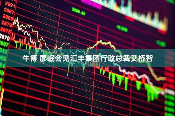 牛博 廖岷会见汇丰集团行政总裁艾桥智